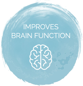 Img-brainfunction