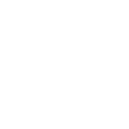 ylc-curriculum-right-side-circle-icon